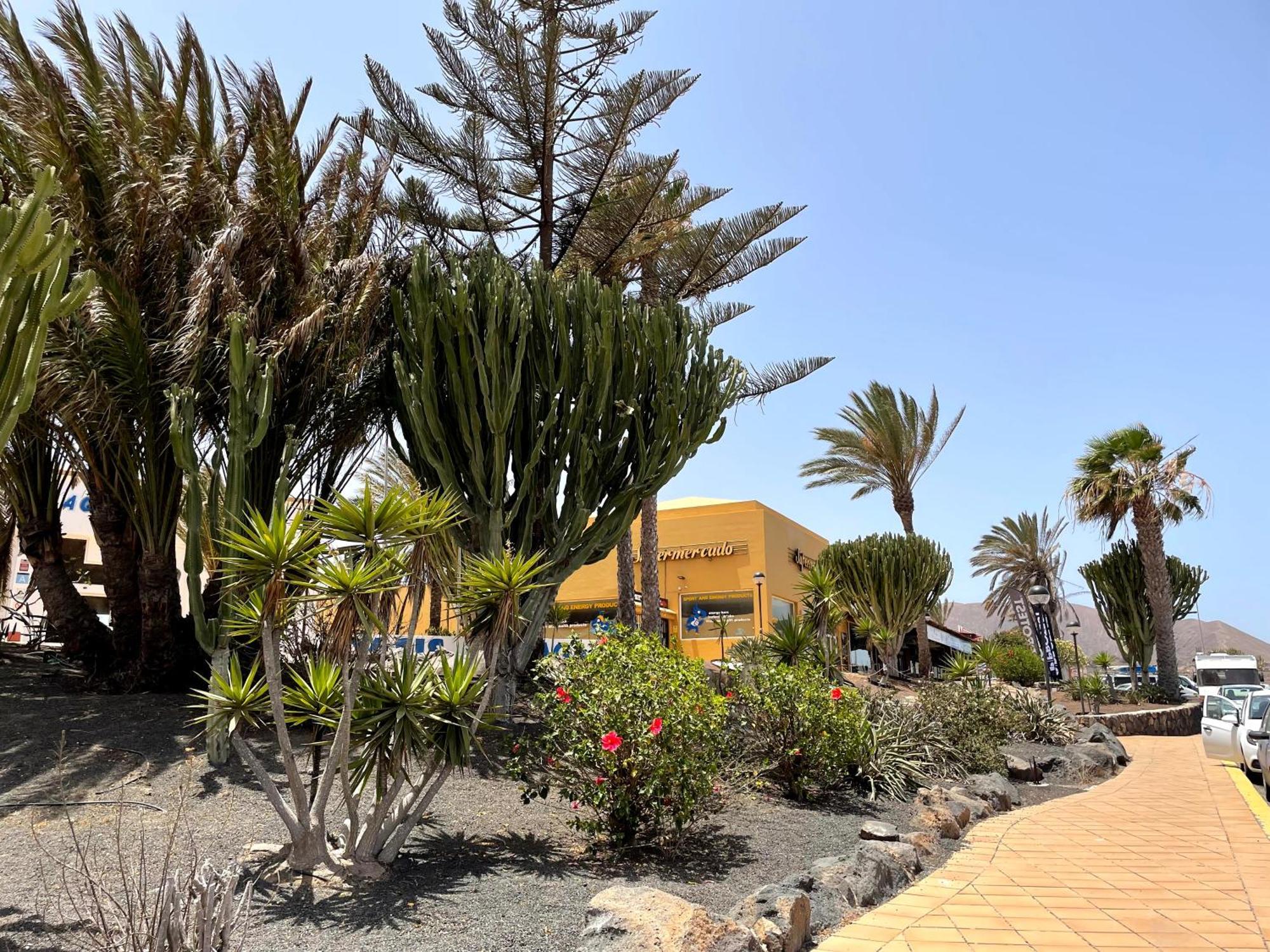 Casa Relax Papagayo Corralejo Irent Fuerteventura Apartamento Exterior foto